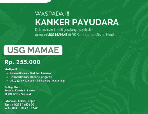 Pelayanan USG Mamae