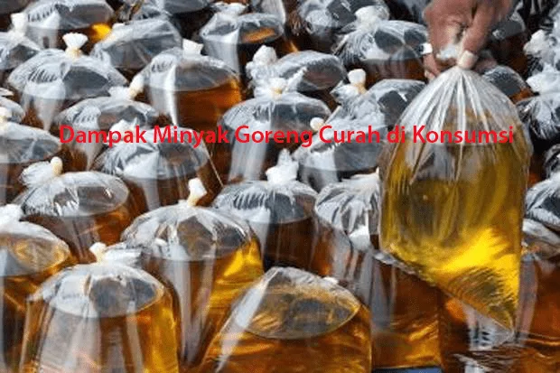 Dampak Minyak Goreng Curah di Konsumsi