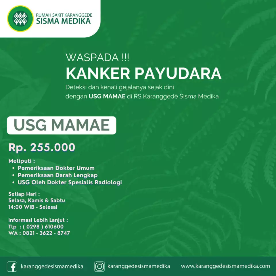 Pelayanan USG Mamae